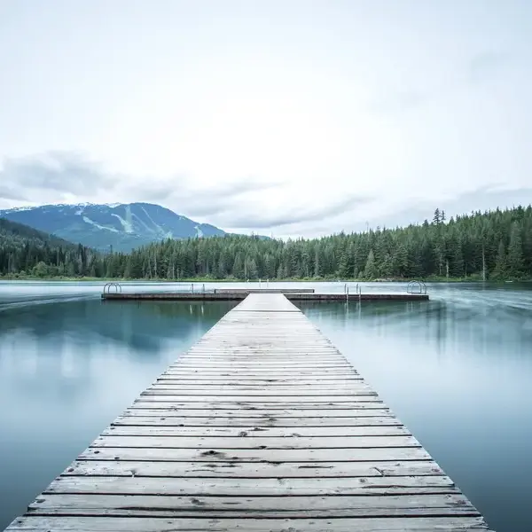 In search of…