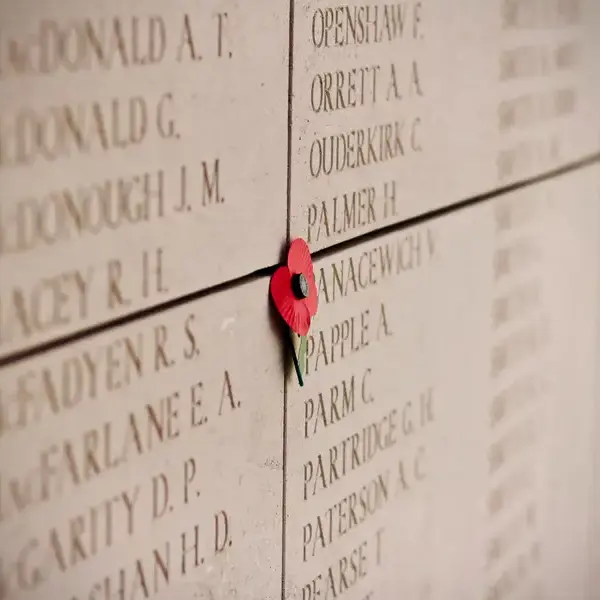 Why we remember