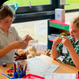 Co-curricular returns