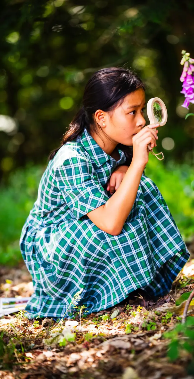 OptimizedImage,Optimized