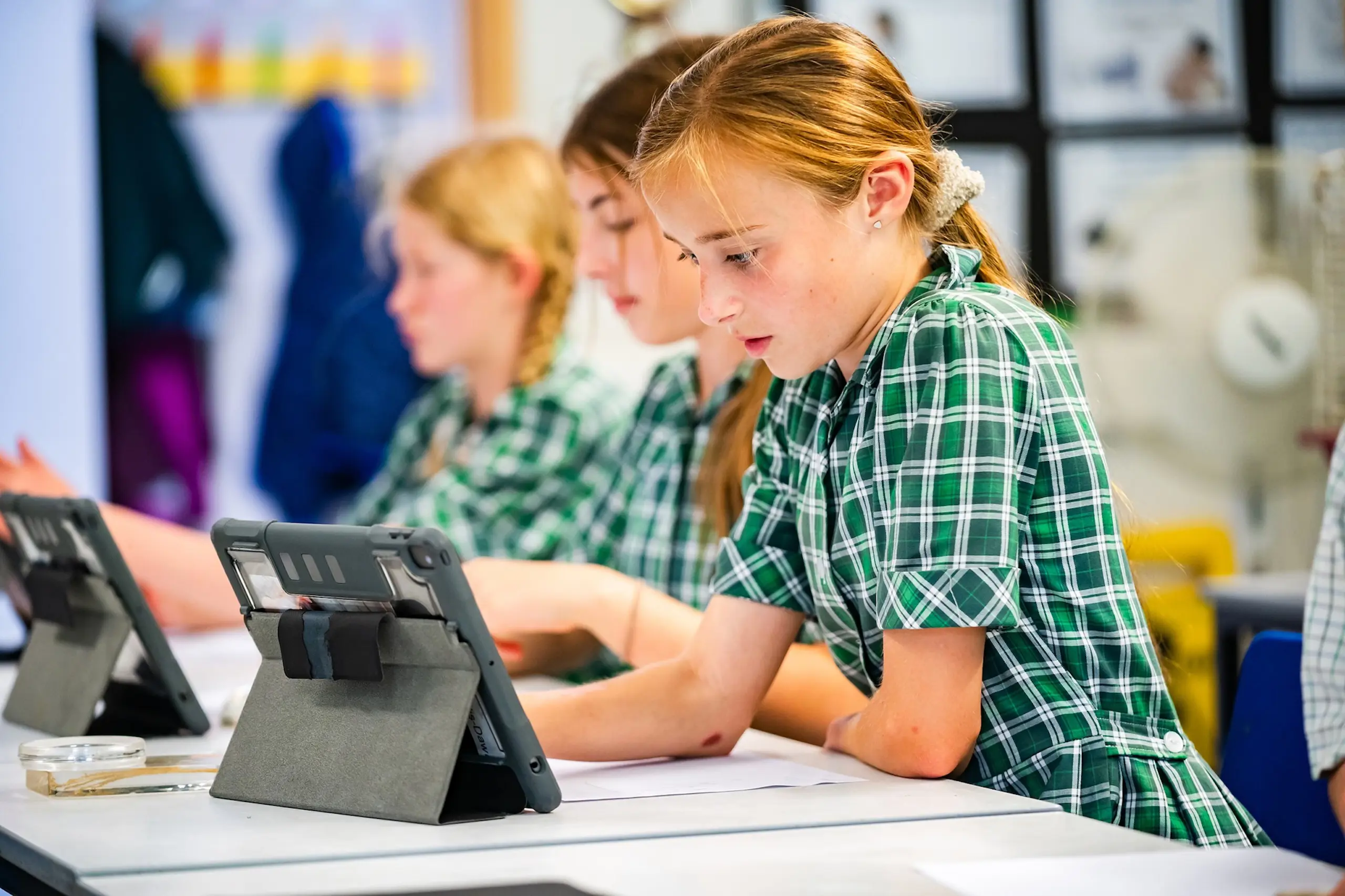 OptimizedImage,Optimized