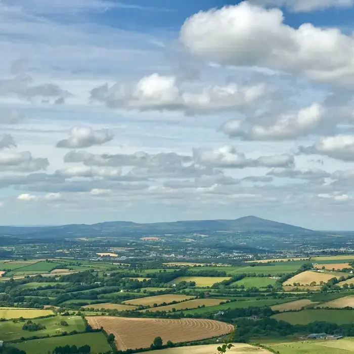 Closer to Enniscorthy