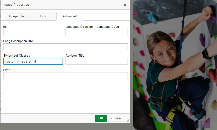  OptimizedImage,Optimized