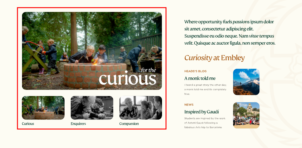  OptimizedImage,Optimized