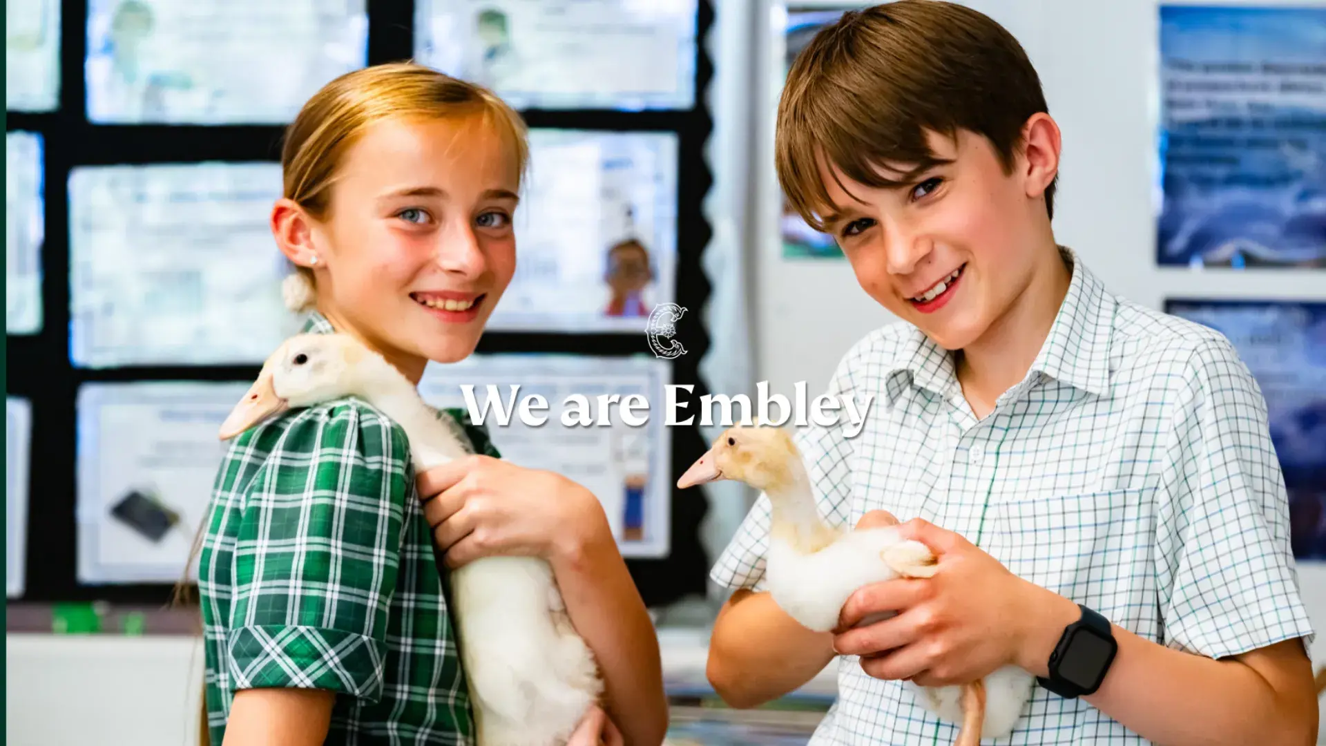  OptimizedImage,Optimized