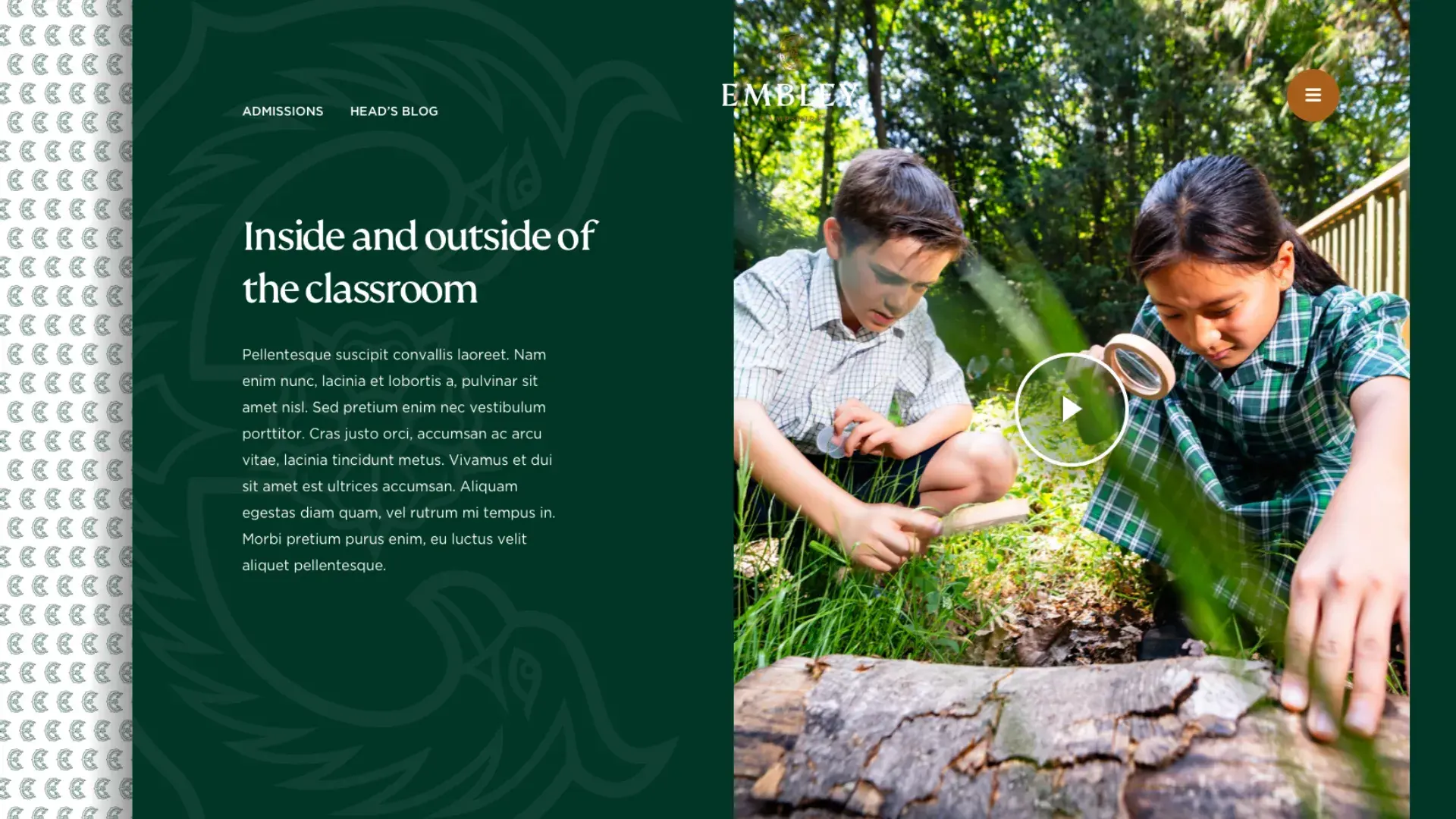  OptimizedImage,Optimized