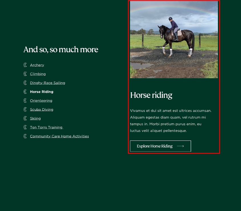  OptimizedImage,Optimized