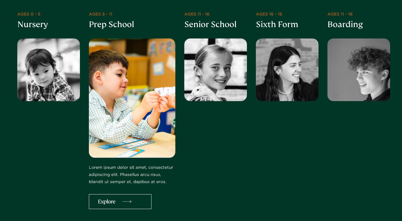  OptimizedImage,Optimized