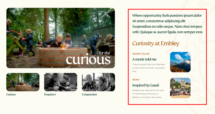  OptimizedImage,Optimized