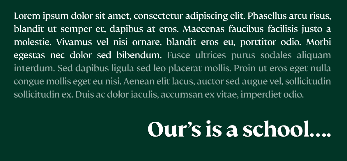  OptimizedImage,Optimized